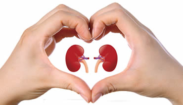 Renal Care